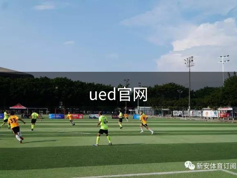 网站介绍